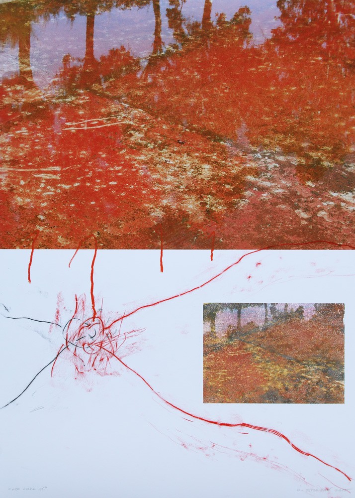 Red Doxa 11. 2015