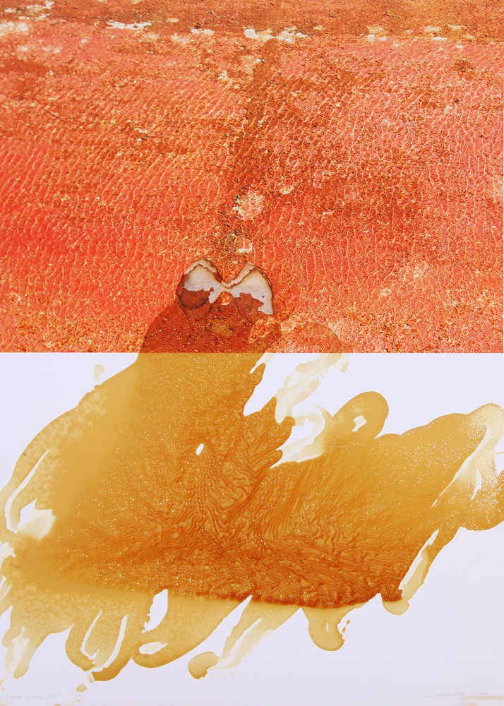 Red Doxa 03. 2015