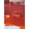 Red Doxa 07. 2015
