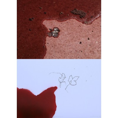 Red Doxa 09. 2015
